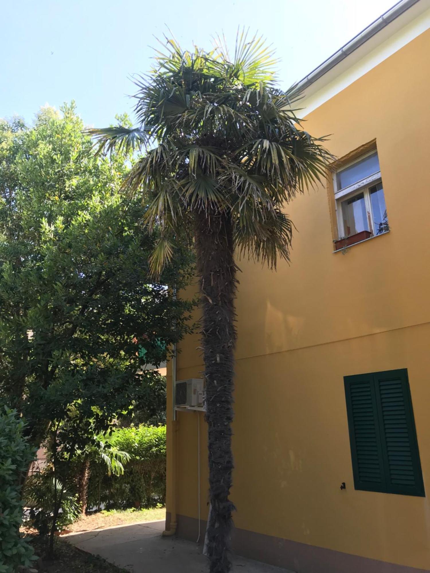 Apartment Zara Sun Εξωτερικό φωτογραφία